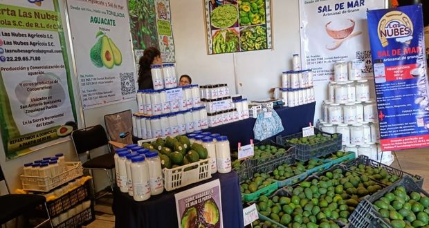 Cooperativa familiar, trabajo participativo y democrático: emprendedor poblano