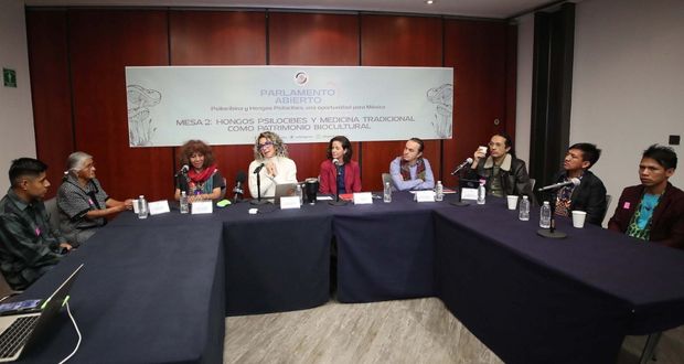 En parlamento, buscan regular hongos alucinógenos para salud mental
