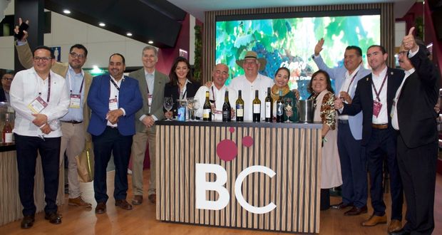 Destaca Organización Internacional de la Viña y el Vino potencial de México en el mercado mundial para los siguientes años