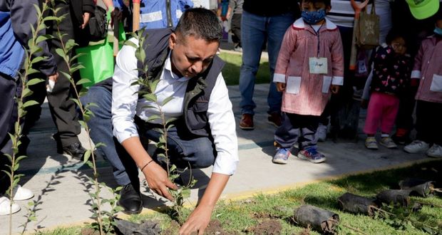 Edmundo Tlatehui encabeza jornada de reforestación en Cedat