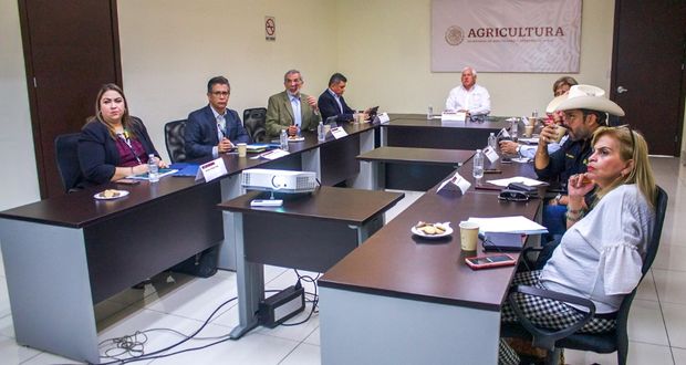 Con Censo, verifican más de 4 millones de unidades agrícolas: Sader