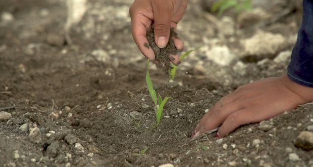 Inicia 1er Congreso Interamericano de Agua, Suelo y Agrobiodiversidad