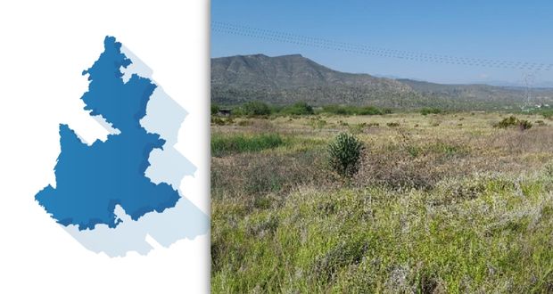 En 10 años, aumenta 1% registro de ejidos en Puebla, pero baja superficie
