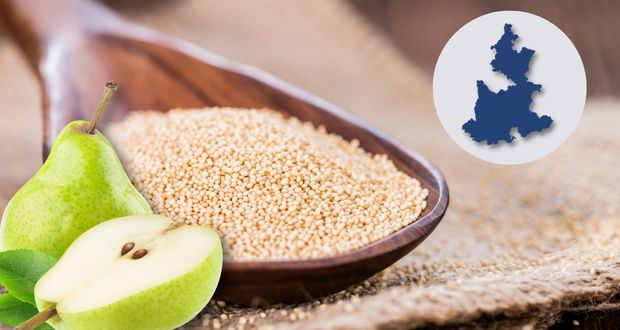 En 2021, Puebla lidera producción de amaranto y pera en el país
