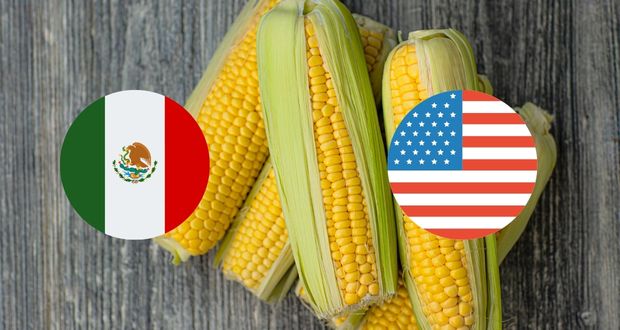 Nueva controversia por maíz transgénico: EU recurre a T-MEC vs México 