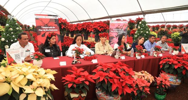 Puebla espera derrama de 130 mdp por venta de Nochebuena; 3ro en país