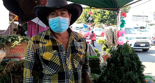 En mercado Morelos, invitan a seguir tradición de árboles naturales