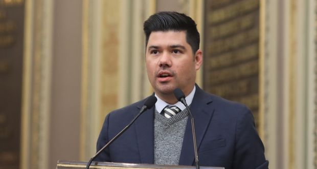 Presentan en el Pleno exhorto para evitar comercialización de heno y musgo en temporada decembrina