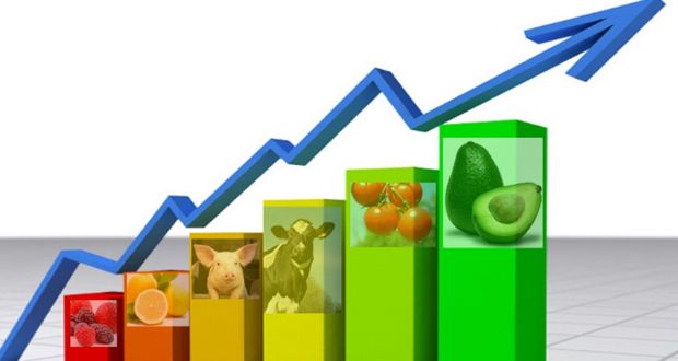 Hasta octubre, superávit de 5 mil mdd en balanza agroalimentaria