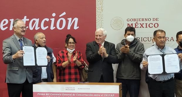Promoverá Agricultura investigación, apoyo técnico e innovación para aumentar la producción de trigo