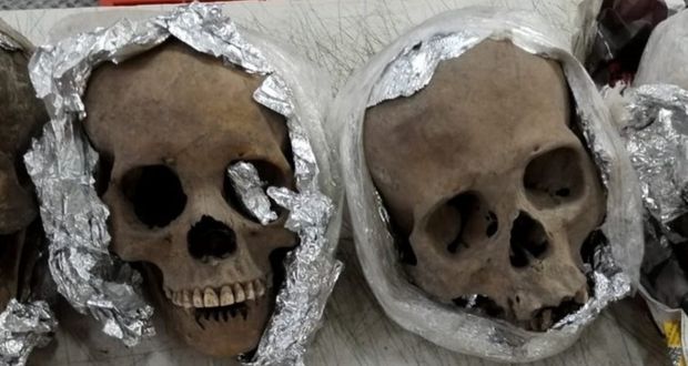 En Querétaro, Guardia Nacional detecta cráneos humanos en el área de envíos del Aeropuerto Intercontinental
