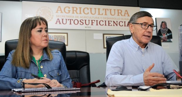 Producción para el Bienestar bancarizará a todos e incluirá a nopal en 2023