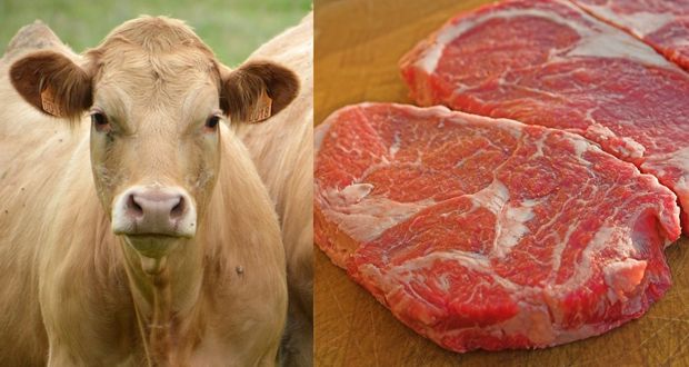 En Puebla, valor de producción de carne bovina cae 2.8%; sube porcina