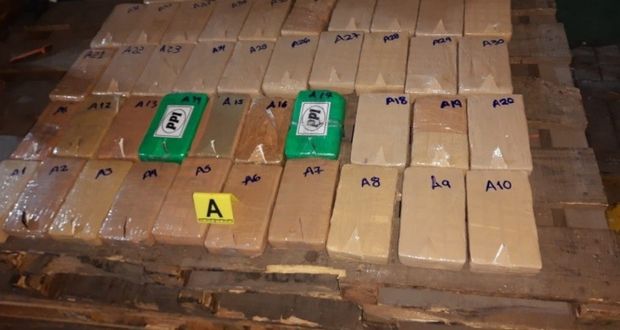 Federación asegura 431 kilos de cocaína en puerto de Manzanillo 