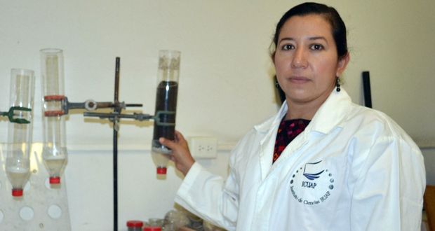 La siembra de milpa mitiga el cambio climático al almacenar 150 toneladas de carbono por hectárea