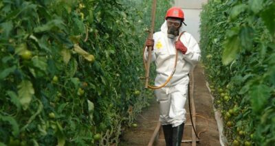 Fortalecerán México, EU y Canadá regulación sobre plaguicidas
