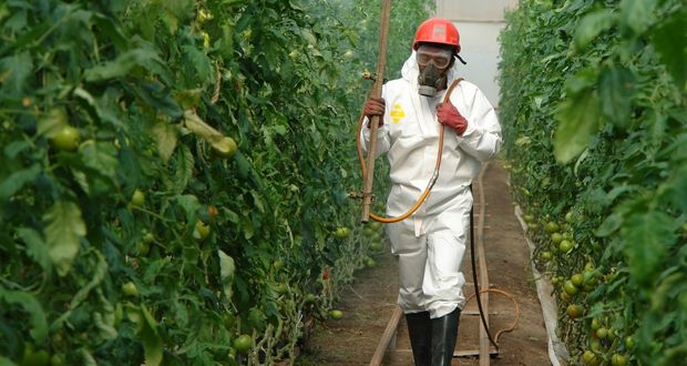 Fortalecerán México, EU y Canadá regulación sobre plaguicidas