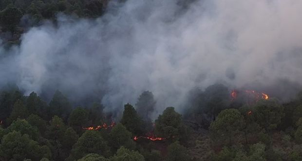 En Puebla, 19% más incendios forestales en 1T; país registra baja del 10%