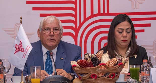 En 4 años, producción de granos básicos crece 7% en México: Agricultura