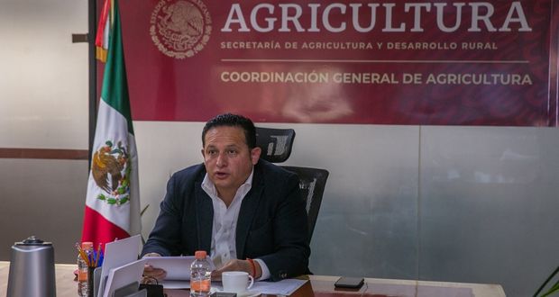 Agricultura destaca a productores de ganado cebú del país