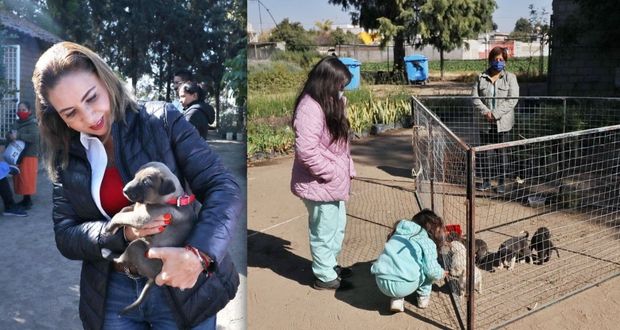 Paola Angon promueve acciones a favor de los animales y el entorno en Cholula