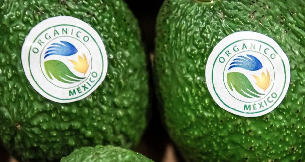 Firman México y Canadá equivalencia en productos orgánicos