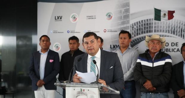 Armenta gestionará atención plaga que afecta a bosques de Puebla