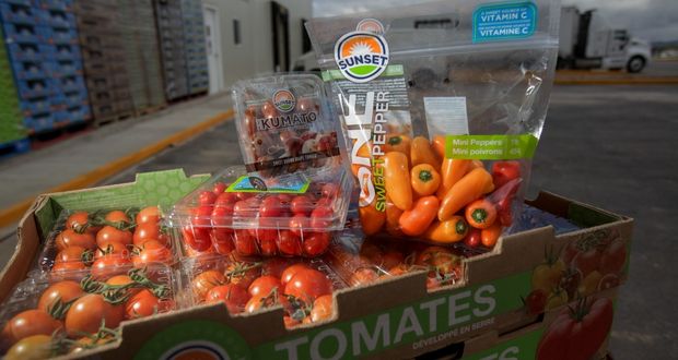 En 2022, exportaciones agroalimentarias de México suben 12%