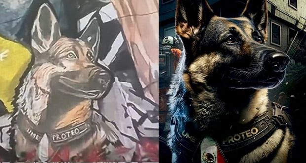 Turquía y futbol europeo rinden homenaje a Proteo, perro rescatista mexicano