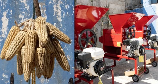 Agricultura entrega maquinaria a productores indígenas de maíz en Libres