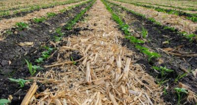 Agricultura capacita a campesinos de Puebla sobre riesgos de quemas