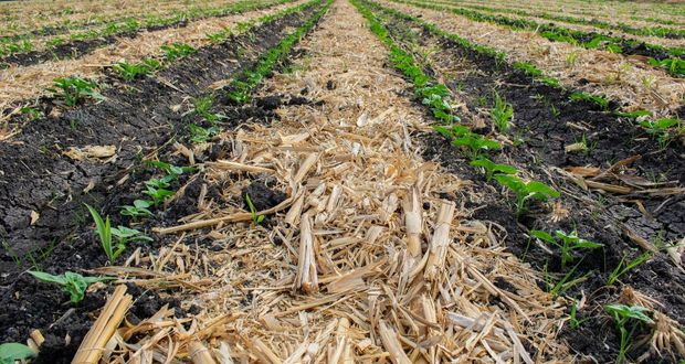 Agricultura capacita a campesinos de Puebla sobre riesgos de quemas