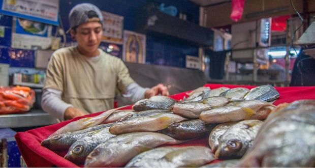 Agricultura destaca beneficios de consumir pescados y mariscos