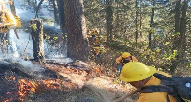 Incendio forestal en Atzitzintla: controlado al 100%; suman 65 casos