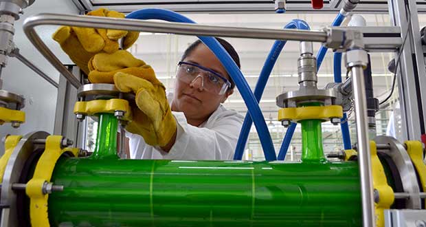En BUAP, 90% de alumnos en programa Delfín siguen estudios de posgrado 
