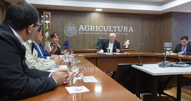 Agricultura impulsa irradiación de frutos frescos para potenciar comercio 