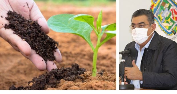 Federación dará fertilizantes gratis a 102 mil productores poblanos