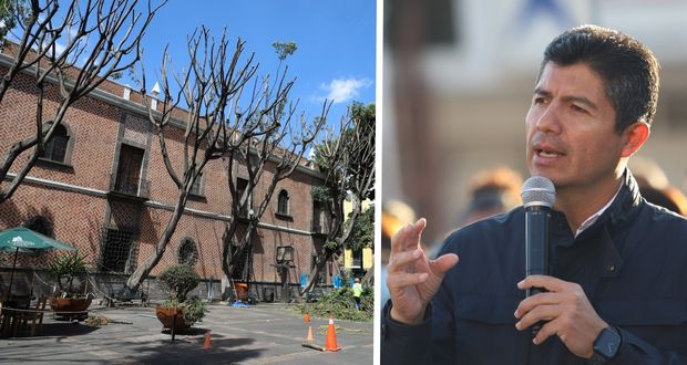 Comuna de Puebla buscará diálogo con colectivos por poda de árboles