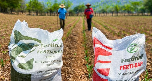 Agricultura enviará fertilizantes para 88 mil en península de Yucatán