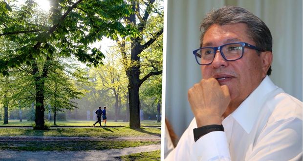 Plantea Monreal que parques y zonas verdes tengan mobiliario adecuado. 