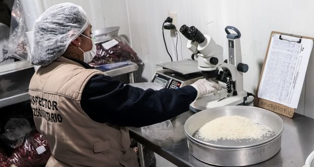 Agricultura publica requisitos para importar arroz de Paraguay