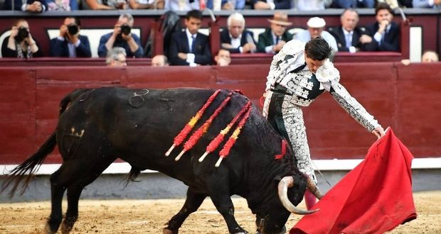 Juez federal suspende corrida de toros del domingo en Teziutlán