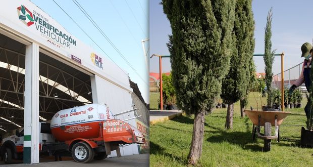 Verificación y reforestación, contra cambio climático: Céspedes en Conago