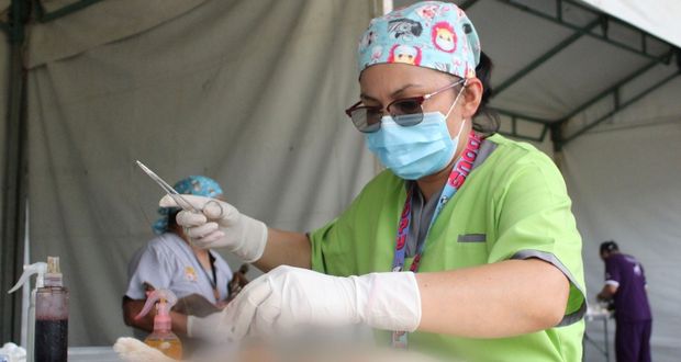 Con esterilizaciones, Salud busca reducir enfermedades que afecten a la población
