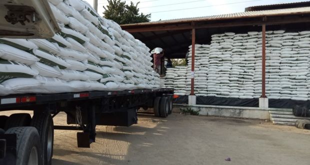 Por primera vez, habrá fertilizantes gratis para Tabasco: Agricultura