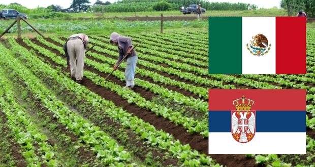 Acuerdan México y Serbia fortalecer cooperación e intercambio agrícola