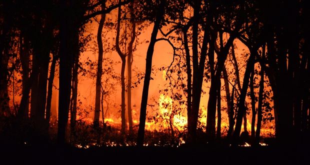 Van 181 incendios en Puebla en lo que va de 2023; 2.6 mil hectáreas afectadas