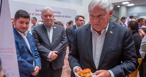 Agricultura se coordina con industria para sanidad y abasto de carne de cerdo. Foto: Especial 