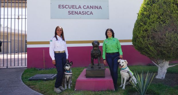 Agricultura capacita a Costa Rica en uso de binomios caninos