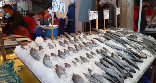 Por cuaresma en Semana Santa, pescaderos estiman repunte de 90 a 100% en ventas